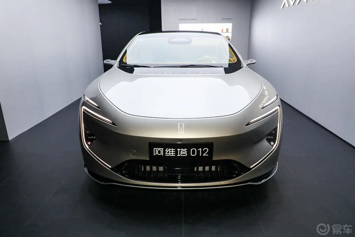 阿维塔12