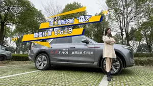 红旗E-HS9吸烟模式如何使用？