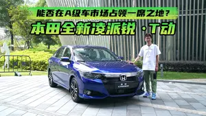 凌派辅助驾驶功能表现如何？