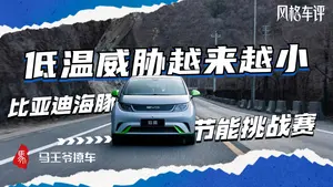 海豚的后排有何优势？