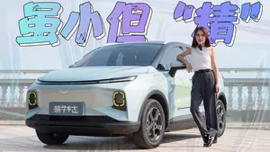 几何E 语音控制功能怎么样？