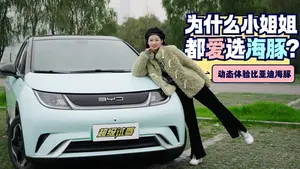 海豚车身的安全性怎么样？