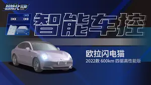 闪电猫 遥控泊车功能表现怎么样？